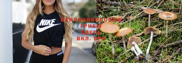 кокаин перу Дмитров