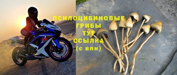 спиды Дмитровск
