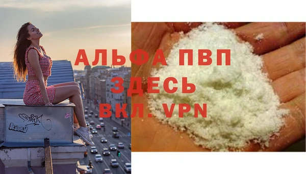 спиды Дмитровск