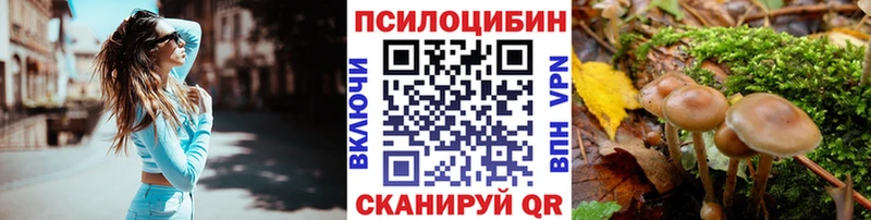 Галлюциногенные грибы прущие грибы  Купить  Лаишево 
