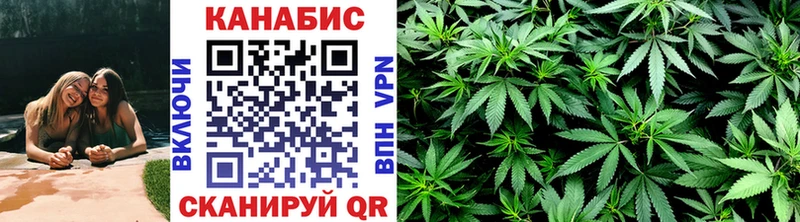 Купить закладки  Лаишево  Бошки марихуана сатива 